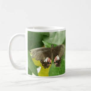 Schmetterlingstasse Scharlachroter Schwalbenschwan Kaffeetasse