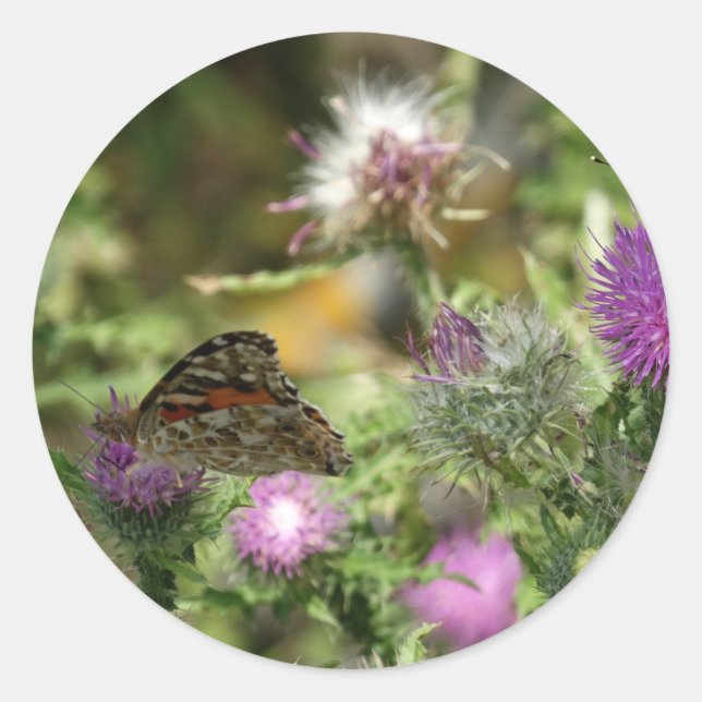 Schmetterlingsticker, Foto rund, glänzend Runder Aufkleber (Vorderseite)
