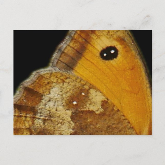 Schmetterlingswache Postkarte (Vorderseite)