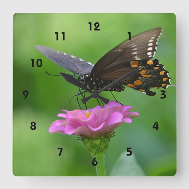 Schmetterlingswache Quadratische Wanduhr (Vorderseite)