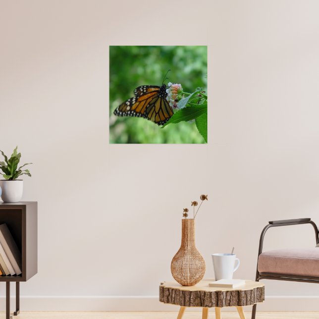 Schmetternde Monarchschmetterlinge auf Blume Poster (Wohnzimmer 3)