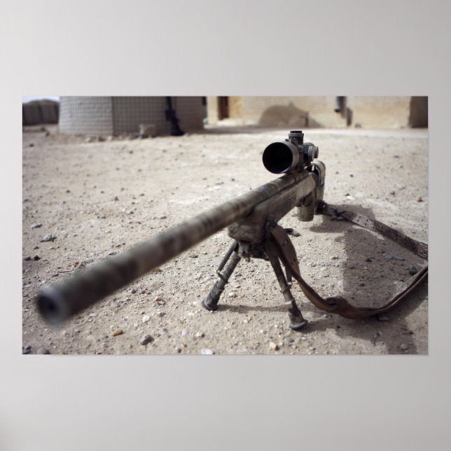 Schmidt & Bender M-854155 DS Poster (Vorne)