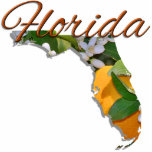 Schmuck - Button - FLORIDA Fotoskulptur Magnet<br><div class="desc">Floridas offizieller Spitzname ist "Der Sonnenschein-Staat", der gelegentlich als "Staat der Halbinsel" bezeichnet wird. Es wurde 1970 offiziell von der Legislative von Florida adoptiert. Es überrascht vermutlich nicht, dass die Staat-Blume Floridas das Orange Blossom ist. Florida und Orangen sind fast gleichbedeutend, dank der üppigen Orangenhaine, die so erfolgreich im tropischen...</div>