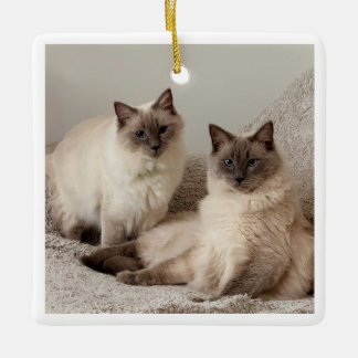 Schmuck Keramikornament