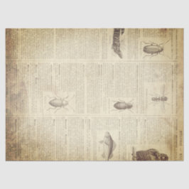 Schmutz-französische Wörterbuch-Seite Seidenpapier