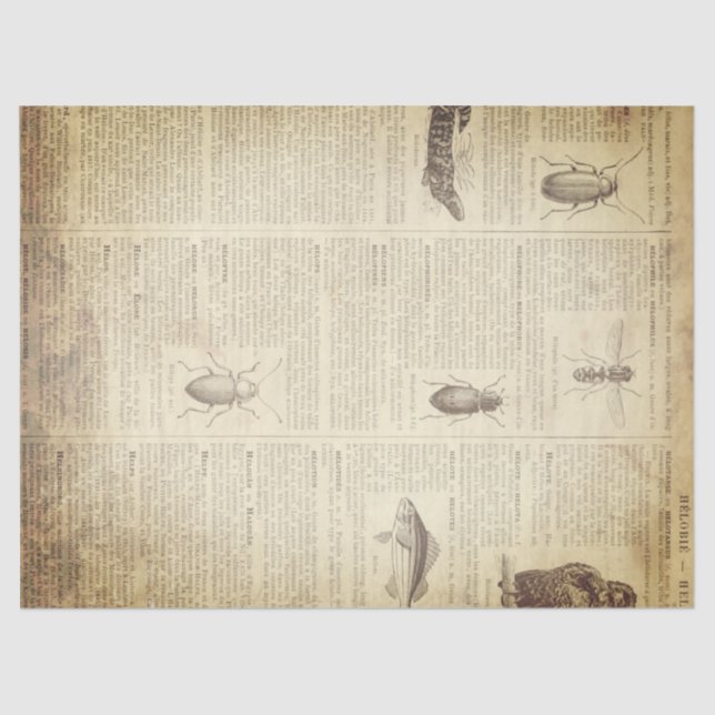 Schmutz-französische Wörterbuch-Seite Seidenpapier (Vorderseite)