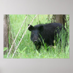 Schmutzige Nase Poster