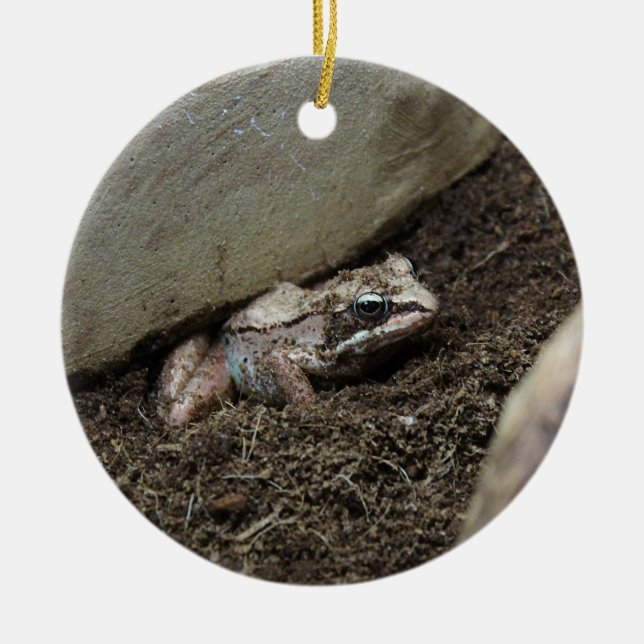 Schmutziger Frosch Keramik Ornament (Vorne)