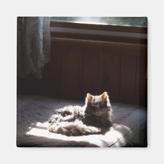 Schmutzmagnet Magnet (Vorne)