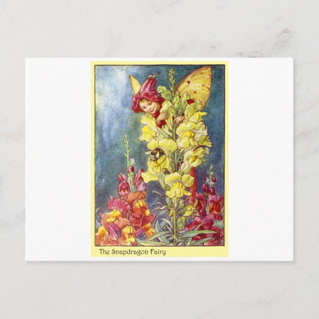 Schnappdrache Postkarte (Vorderseite)