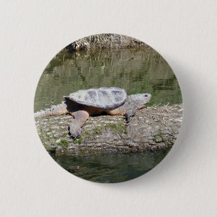 Schnappschildkröte Button