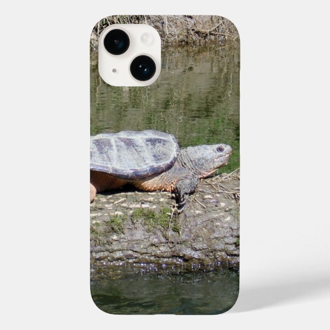 Schnappschildkröte Case-Mate iPhone 14 Hülle (Rückseite)