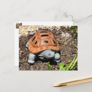 Schnappschildkröte, Hallo oder Ihr Text, Benutzerd Postkarte