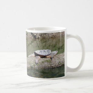 Schnappschildkröte Kaffeetasse