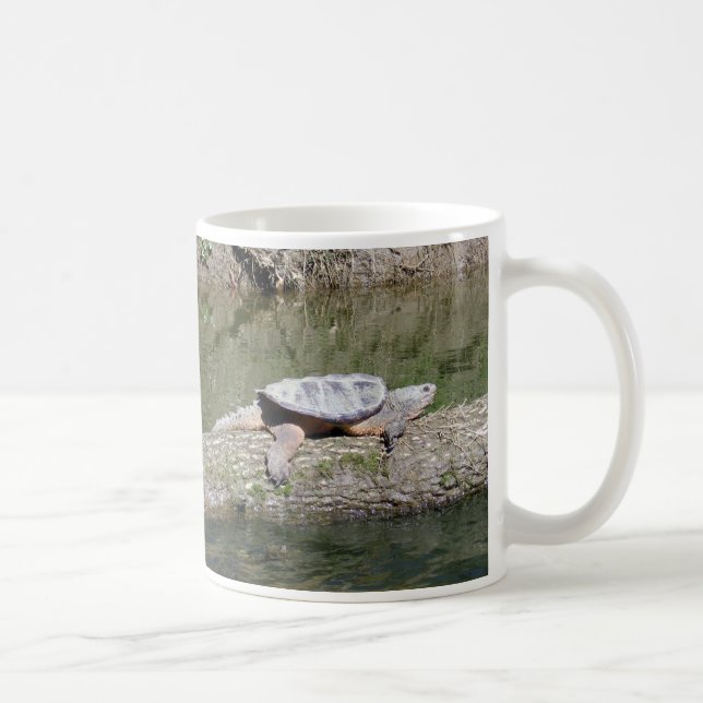 Schnappschildkröte Kaffeetasse (Rechts)