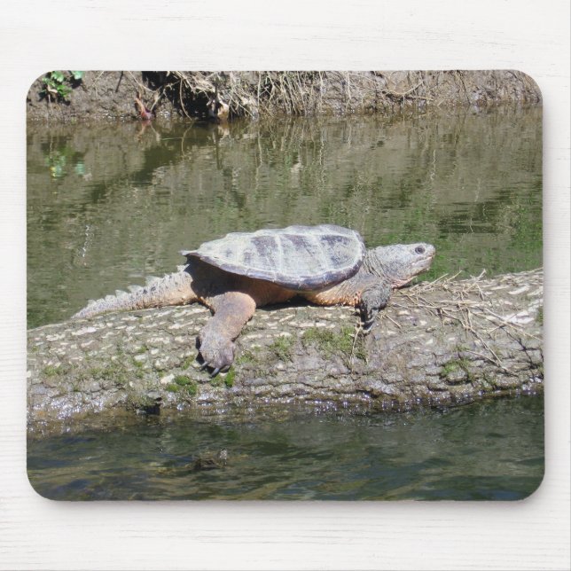 Schnappschildkröte Mousepad (Vorne)
