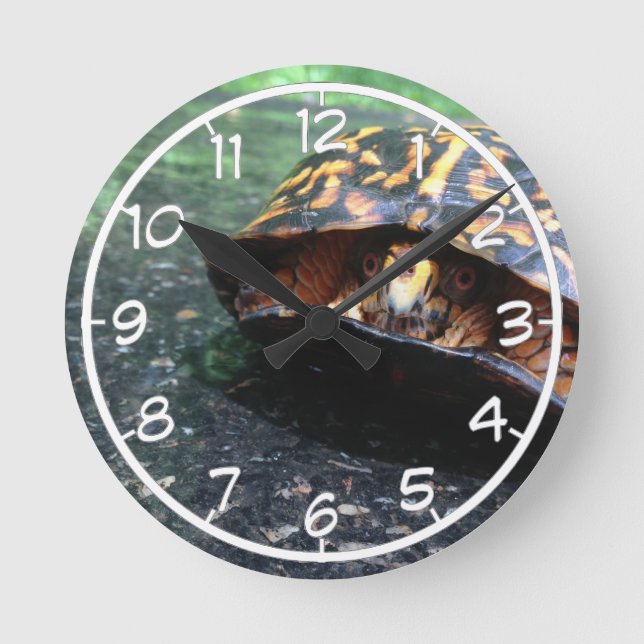Schnappschildkröte Runde Wanduhr (Vorderseite)