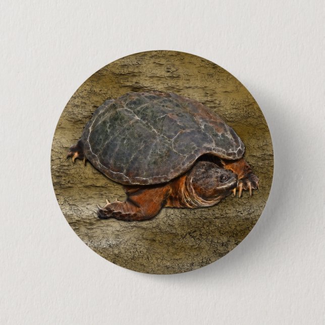 Schnappschuss Terrapin-lover Geschenk Button (Vorderseite)