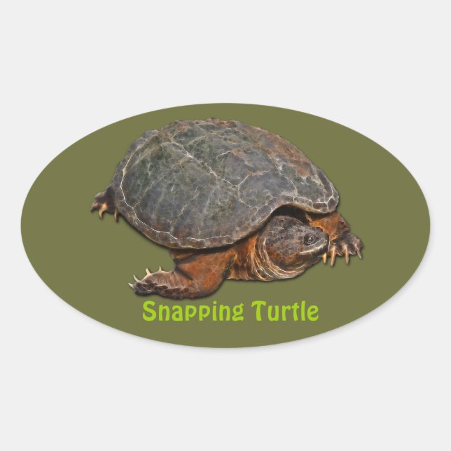 Schnappschuss Terrapin-lover Geschenk Ovaler Aufkleber (Vorderseite)