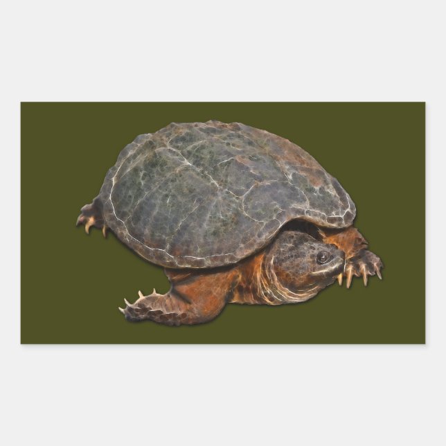 Schnappschuss Terrapin-lover Geschenk Rechteckiger Aufkleber (Vorderseite)