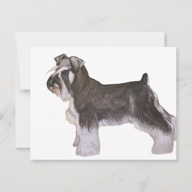 Schnauzer (Vorderseite)