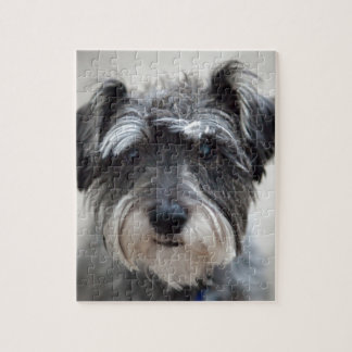 Schnauzer
