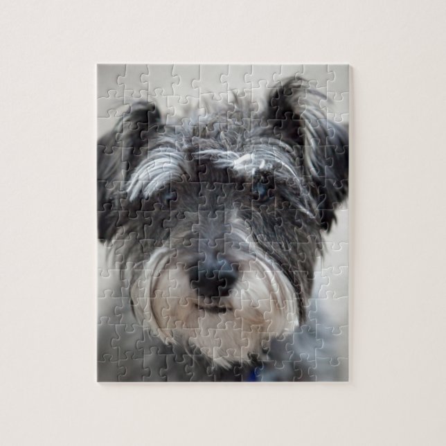 Schnauzer (Vertikal)