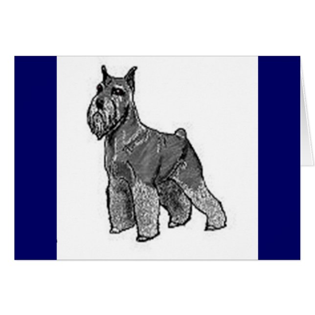 Schnauzer (Devant horizontal)