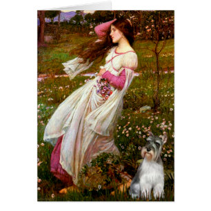 Schnauzer 11N - Fleurs à vent