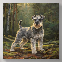 Schnauzer 