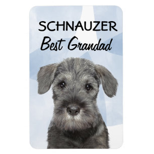 Schnauzer Best Grandad Magnet