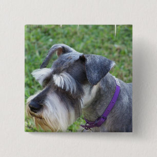 Schnauzer-Button Button