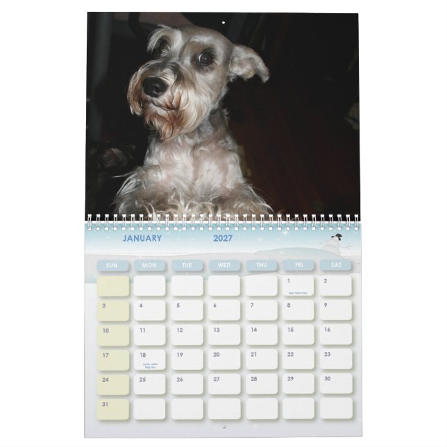 Schnauzer Calander Kalender (Jan 2027)