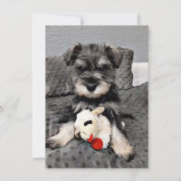 Schnauzer Dankeschön Karte