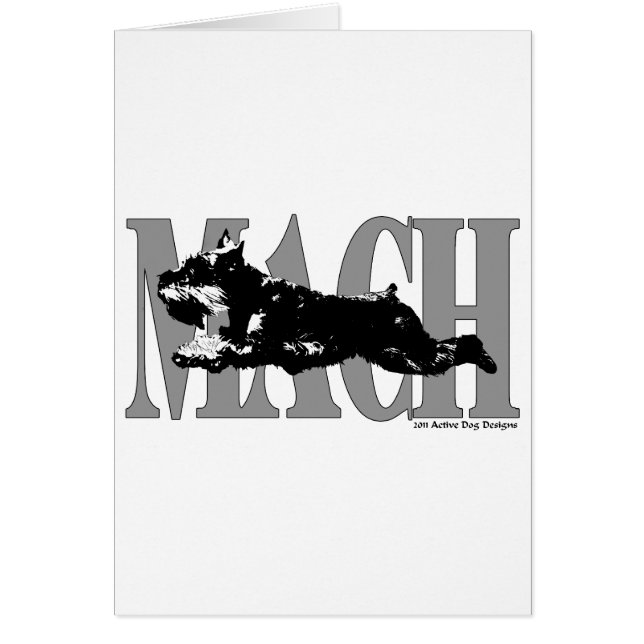 Schnauzer de MACH (Devant)