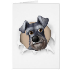 Schnauzer, der heraus sprengt