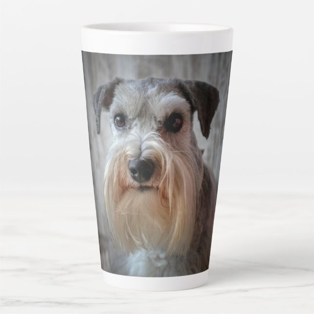 Schnauzer Dog Face Milchtasse (Vorderseite)
