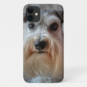 Schnauzer-Dog-Gesicht Case-Mate iPhone Hülle