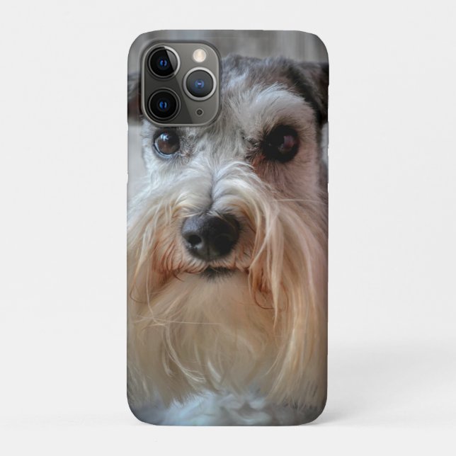 Schnauzer-Dog-Gesicht Case-Mate iPhone Hülle (Rückseite)