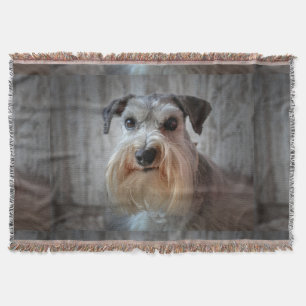Schnauzer-Dog-Gesicht Decke