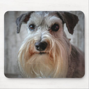 Schnauzer-Dog-Gesicht Mousepad