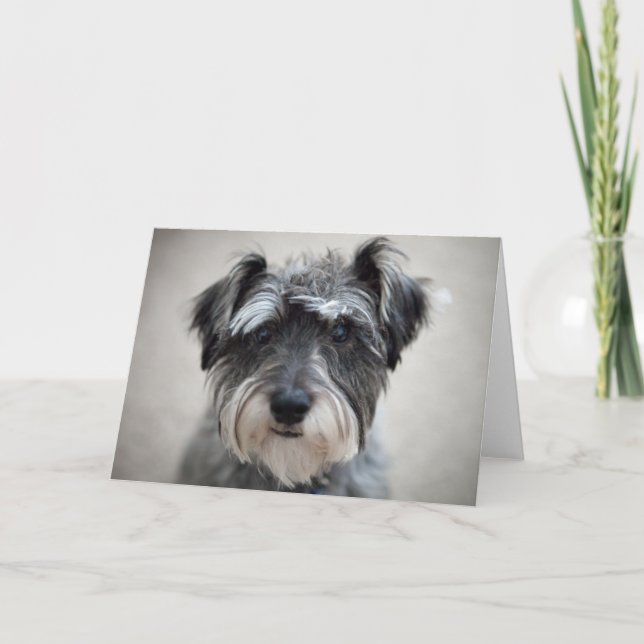 Schnauzer Dog Grußkarte Karte (Vorderseite)