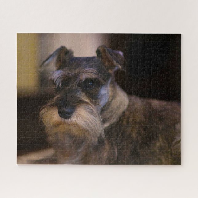 Schnauzer Dog Jigsaws. (Horizontal)