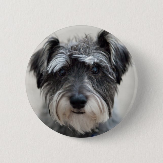 Schnauzer Dog Round Button (Vorderseite)