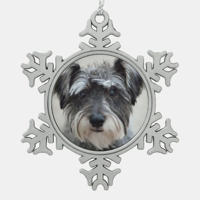 Schnauzer Dog Schneeflocken Zinn-Ornament (Vorderseite)