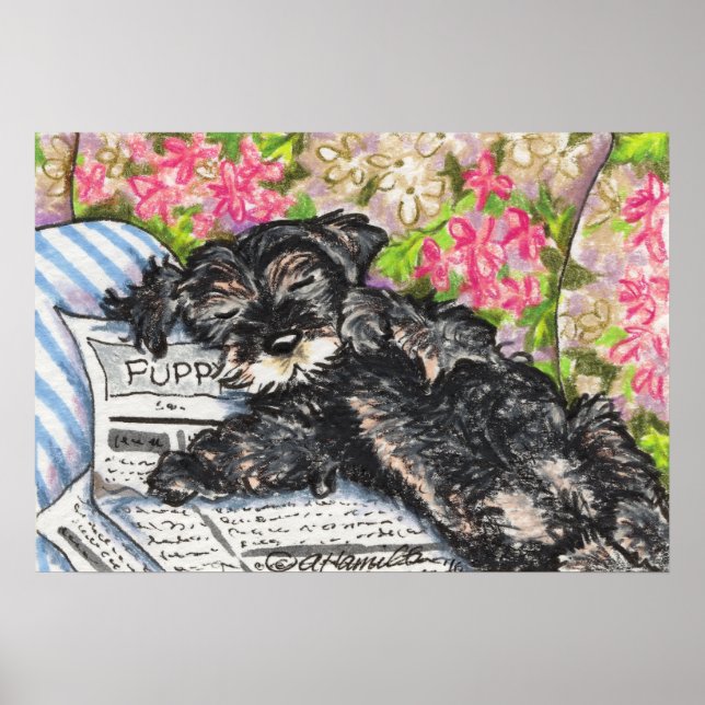 Schnauzer Dreams Print Poster (Vorne)