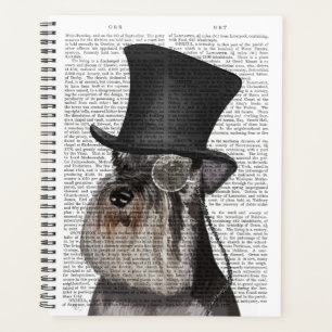 Schnauzer, Hound officiel et Casquette