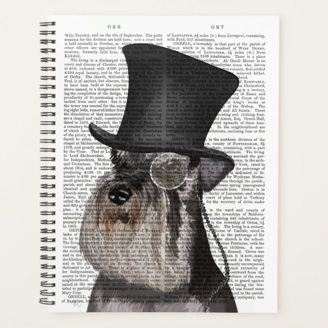 Schnauzer, Hound officiel et Casquette (Devant)