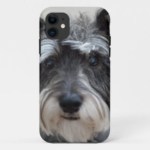 Schnauzer-Hund title_seo2