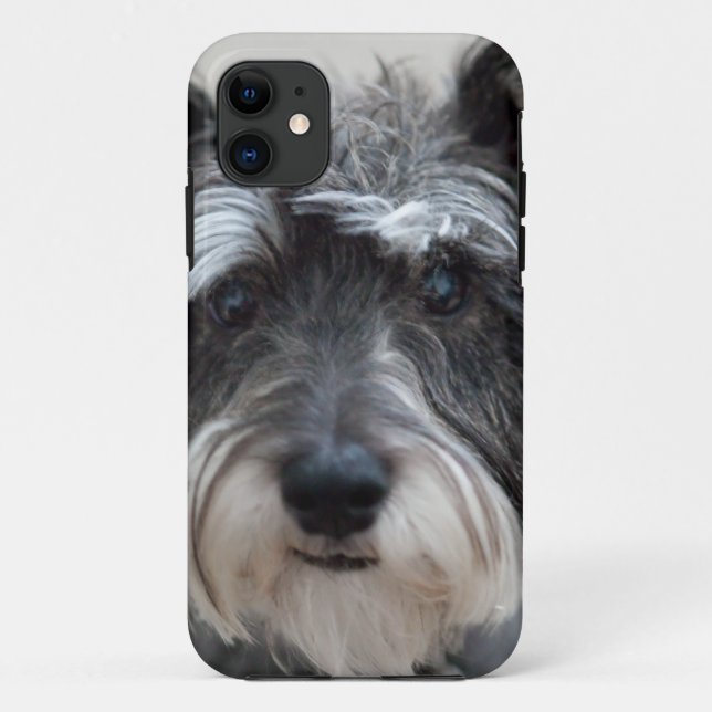 Schnauzer-Hund Case-Mate iPhone Hülle (Rückseite)